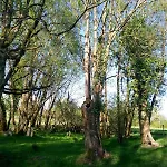 Apartment Les Cles Nature 44 *