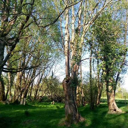 Apartment Les Cles Nature 44 *